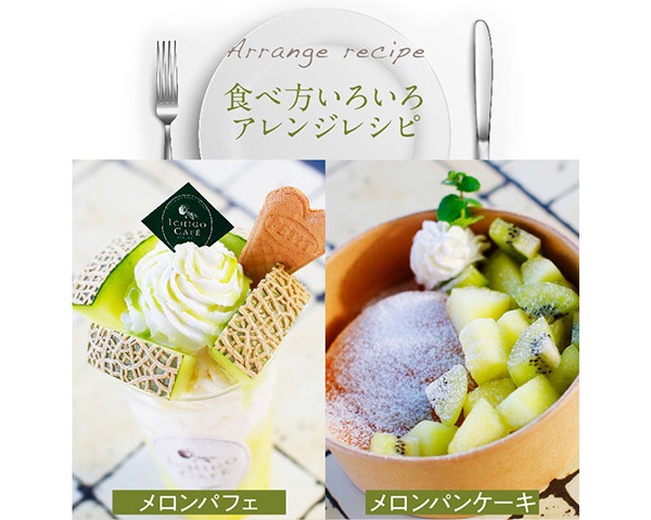 メロンビィゴ２箱　MELONVIGO Amazon | 横井パッケージ メロン用 ギフト箱 メロン箱 ハイ