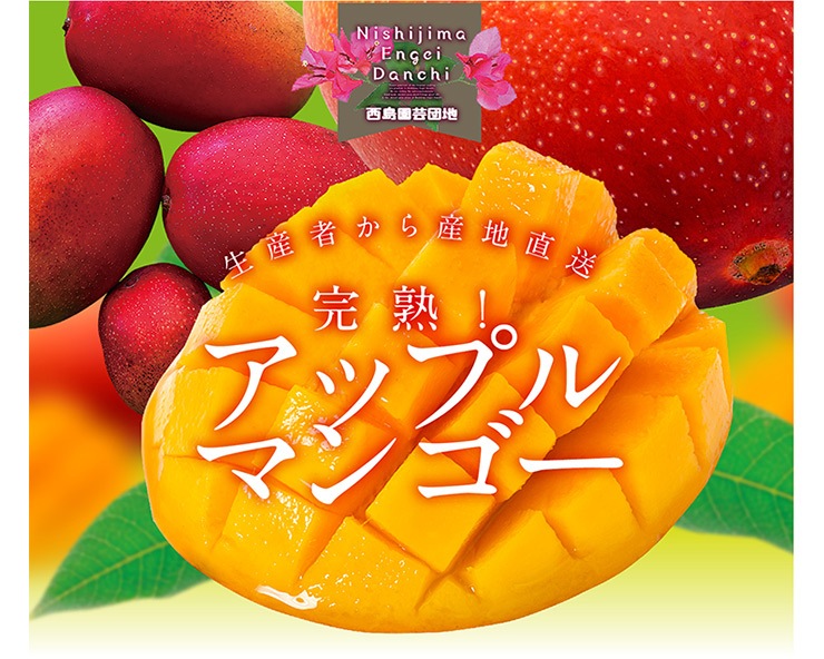 ���åץ�ޥ󥴡���2��3������