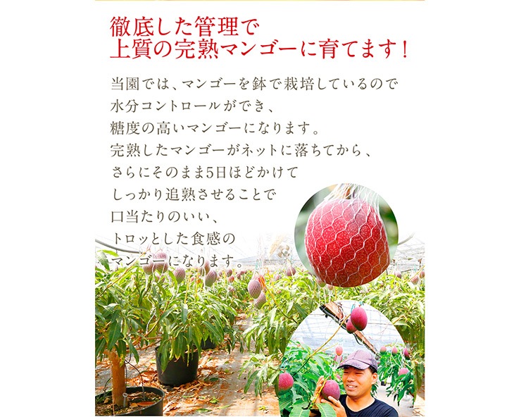 ���åץ�ޥ󥴡���2��3������