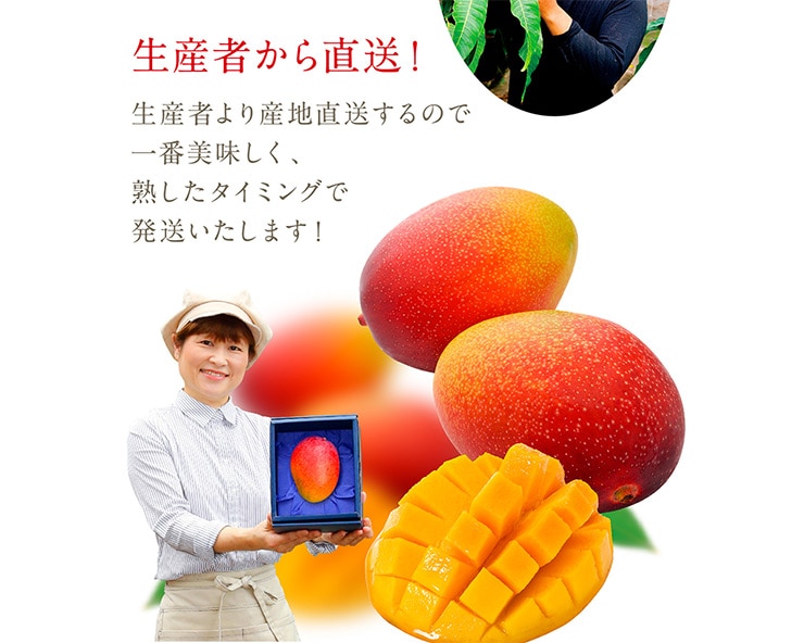 アップルマンゴーさま 71In4dFqJYL._UF350,350_QL50_.jpg