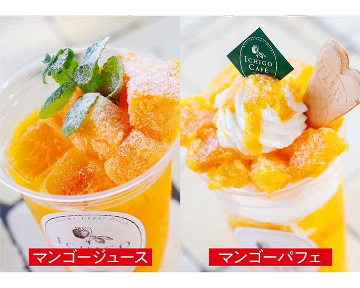 ��Ȣ���ꥢ�åץ�ޥ󥴡���2�ĥ��å�