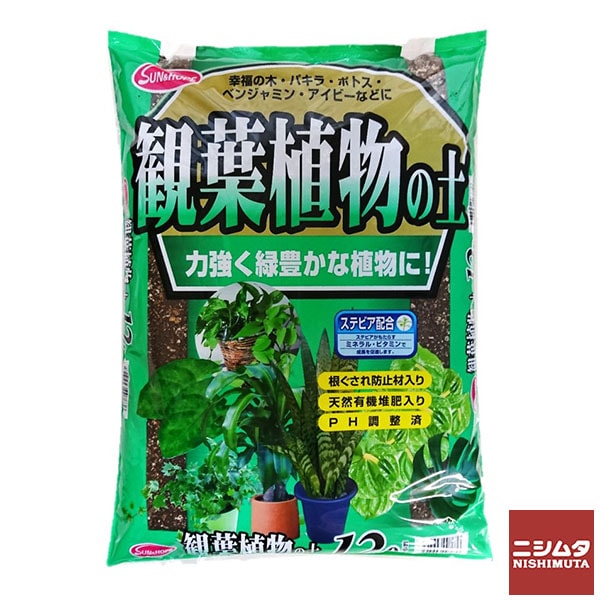 サンアンドホープ　観葉植物の土　12L