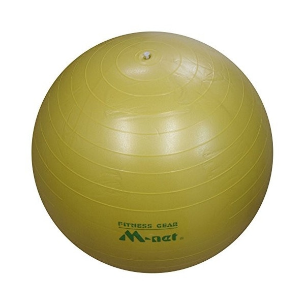 ライテック　ストレッチボール55ｃｍ　ＭＮ120