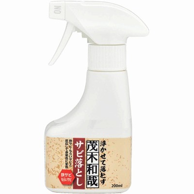 茂木和哉 サビ落とし