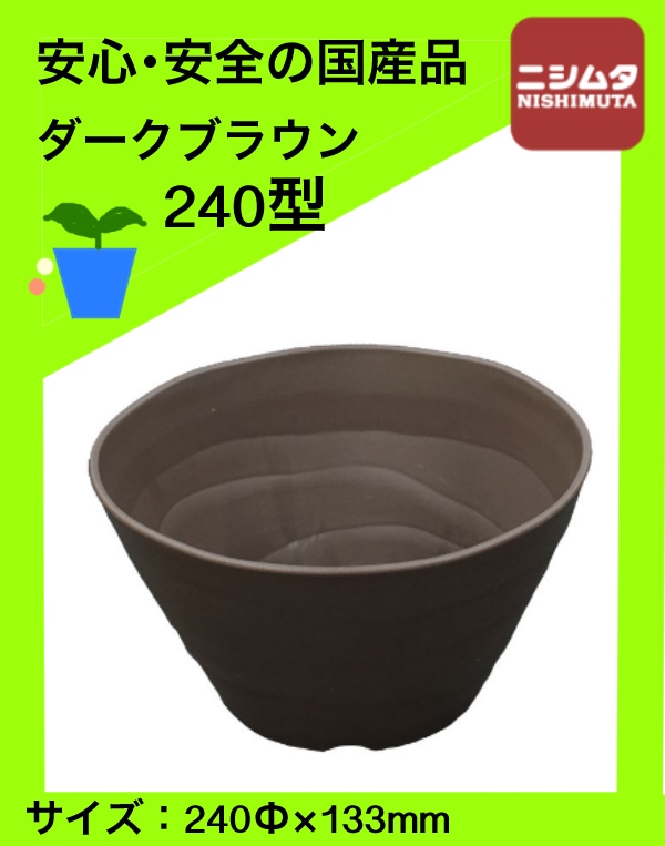 ファーム　アカサタ園芸さん専用！ YOKOYAMA CAUDEX ART | 二葉園芸さん 宇都宮市二葉園芸(二葉商事