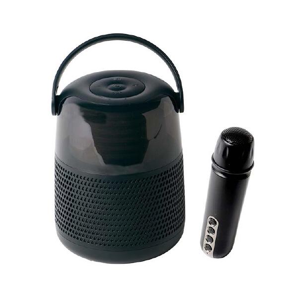 LITHON ライソン よいどれスピーカー&マイク SP-43 KABS-043B 【送料無料】