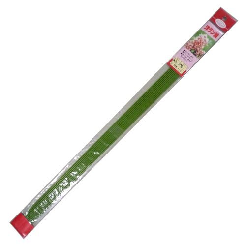 渡辺泰  洋ラン線 10本パック 3.2x700mm