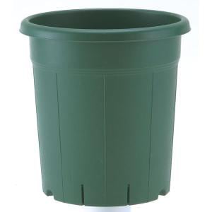 アップルウェアー　バラ鉢　8号　グリーン