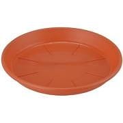 アップルウェアー　浅皿ＡＰ5号