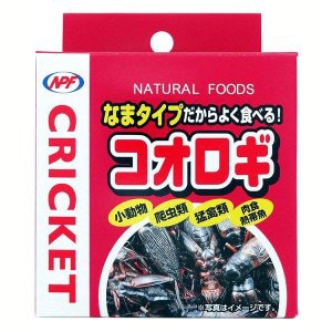 ナチュラルペットフーズ　小動物用コオロギ　40g