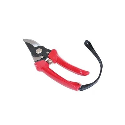 浅香工業　ＦＧ剪定鋏　Ｓ－100Ｒ 