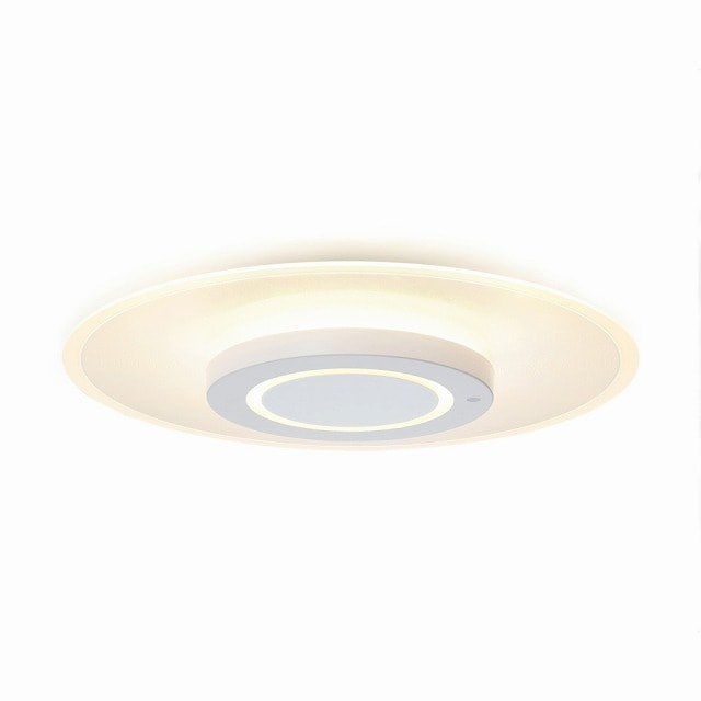 アイリスオーヤマ LED シーリングライト 導光板 12畳 CEA-A12DLP