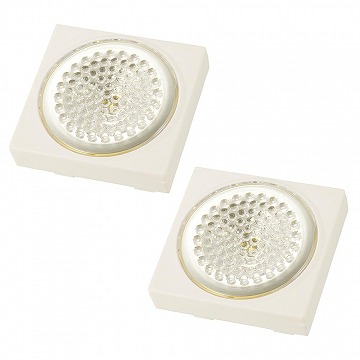オーム電機 NIT-BD2D-2P LED ミニプッシュライト