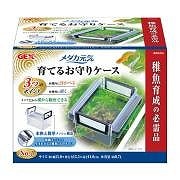 GEX　ジェックス　メダカ元気　育てるお守りケース