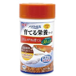 GEX　ジェックス　メダカ元気育てる栄養フード゛　30g