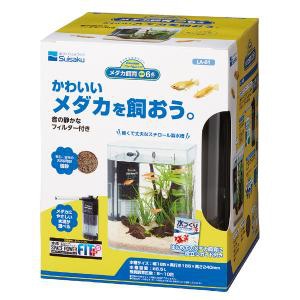 水作　リトルアクアリウム　メダカ飼育　基本6点セット　LA-01