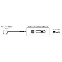 ビクター プラグアダプター（変換アダプター） AP-113A