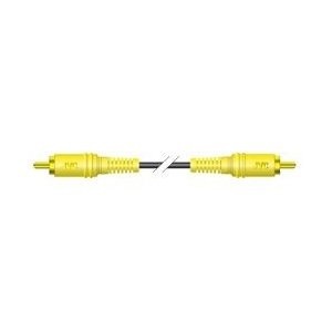 JVCケンウッド ピンプラグX1  VX-10G