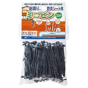 日本マタイ　ミニピン　7cm×30P