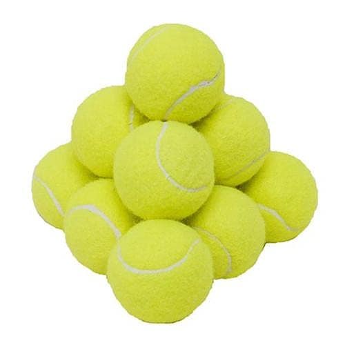 テニスボール　新球 テニスボール | 製品情報 | DUNLOP TENNIS NAVI