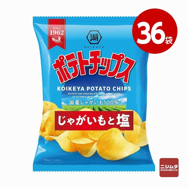 湖池屋　ポテトチップス　じゃがいもと塩　60g×36袋【送料無料】