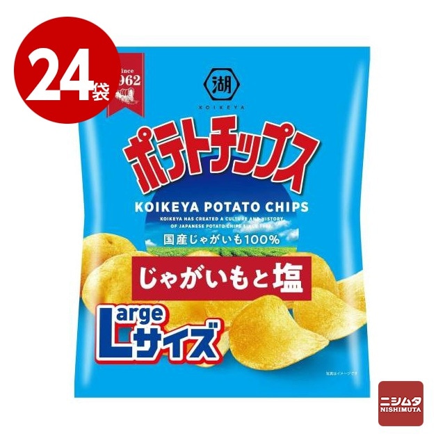 湖池屋　ポテトチップス　じゃがいもと塩　ラージサイズ　122g×24袋　お菓子【送料無料】【ｍ特】