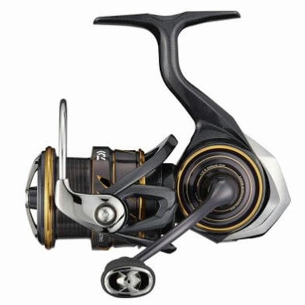 ダイワ(DAIWA) 21カルディア LT2500 