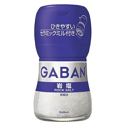ハウス食品 ギャバン ミル付き岩塩 40g