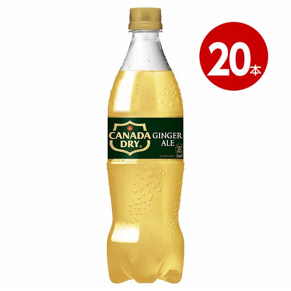 コカ・コーラ　カナダドライ　ジンジャーエール　700ml×20本　ペットボトル