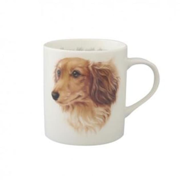 わんコレ マグカップ ロイヤル ダックス