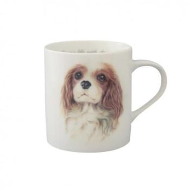 わんコレ マグカップ ロイヤル キャバリア