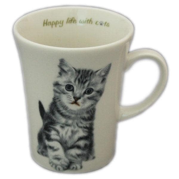 にゃんコレマグ　アメリカンショートヘア