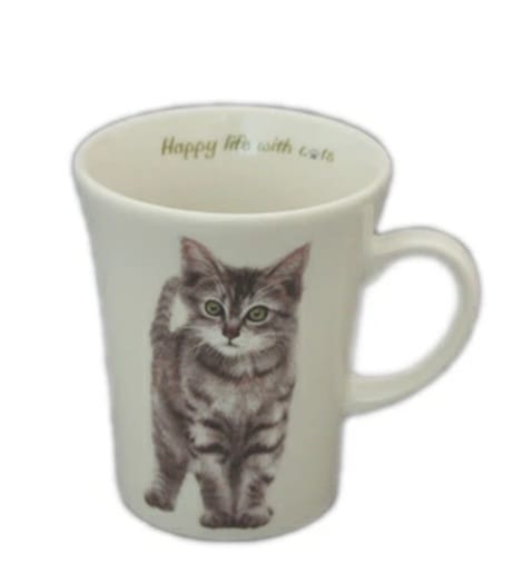 にゃんコレマグ　キジトラ