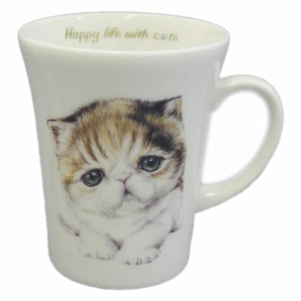 にゃんコレマグ　エキゾチックショートヘア