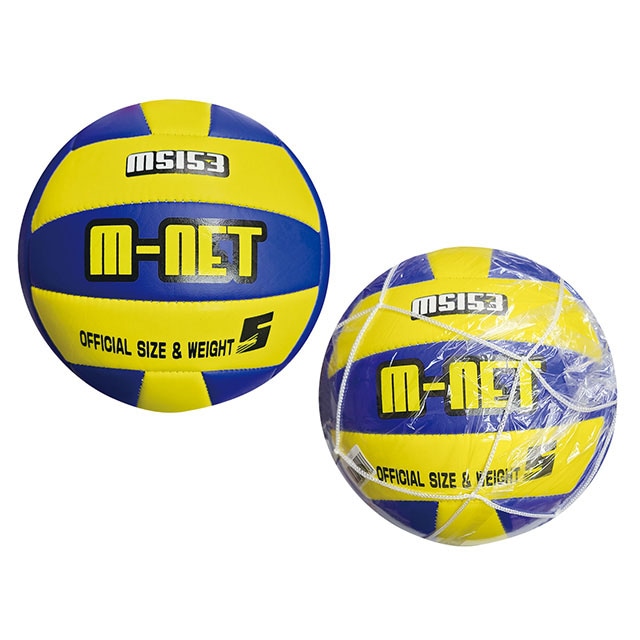 ライテック PVC バレーボール 5号 MS153