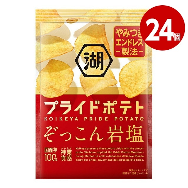 湖池屋　プライドポテト　ぞっこん岩塩　55g×24個　ポテトチップス【ｍ特】