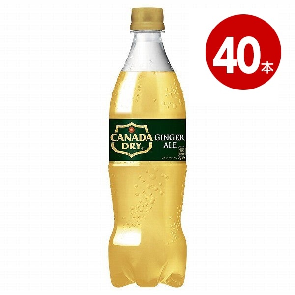 コカ・コーラ　カナダドライ　ジンジャーエール　700ml×40本　ペットボトル【送料無料】【同梱不可】【ｍ特】