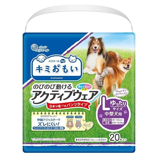 大王製紙　キミおもい　のびのび動けるアクティブウェア　L　ゆったりサイズ