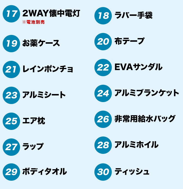山善 防災バッグ 非常用 装備品 アイテム30点セット YBG-30R　リュック 消耗品 防災 持ち運び 簡易　防災リュック 【送料無料】