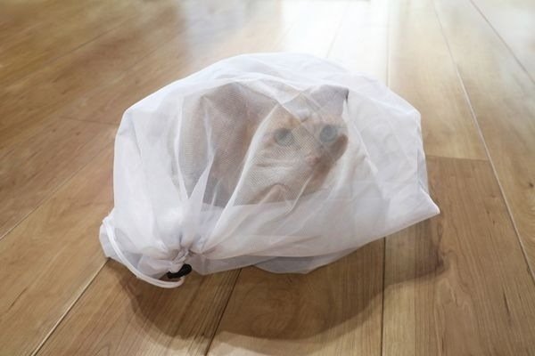 アイリスオーヤマ  ペット用防災15点セット　猫用　PBSN-15