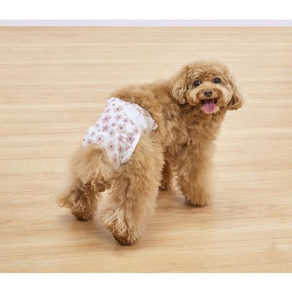 アイリスオーヤマ 女の子用 犬 おむつ ピタフィット S 36枚