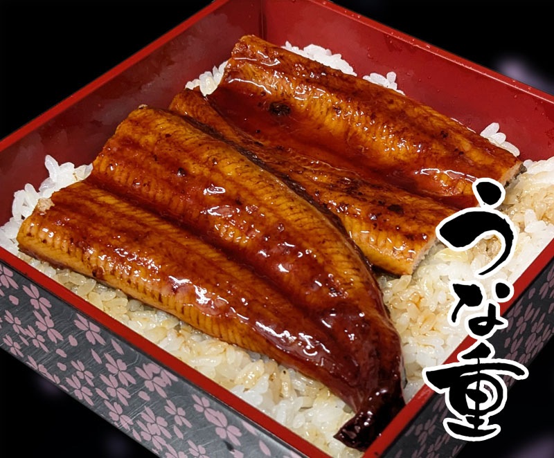 鹿児島県大隅産 うなぎ蒲焼(冷凍) 約140g×2尾 国産 鹿児島産 鹿児島県産 うなぎ 鰻 ウナギ 蒲焼 ギフト 贈り物 土用 丑の日