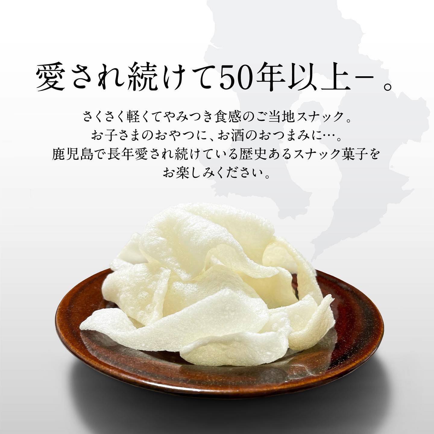 大宮製菓 塩せん 40g×12個 1ケース 軽い サクサク 無香料 無着色 お