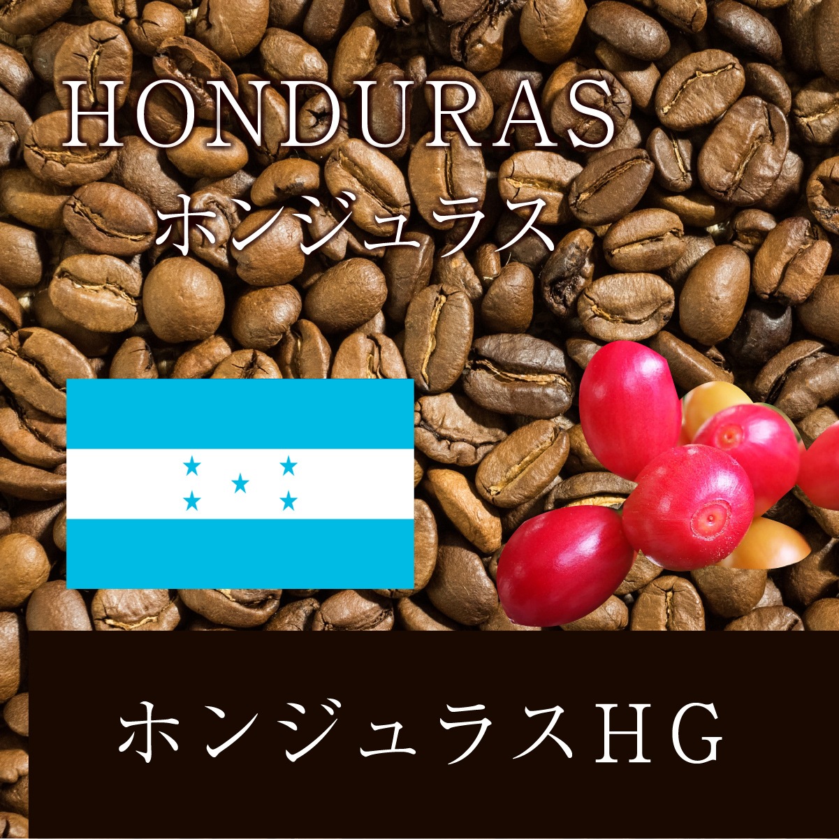 ホンジュラスHG 焙煎 コーヒー 豆 | コモディティ | ニシナ屋珈琲ストア