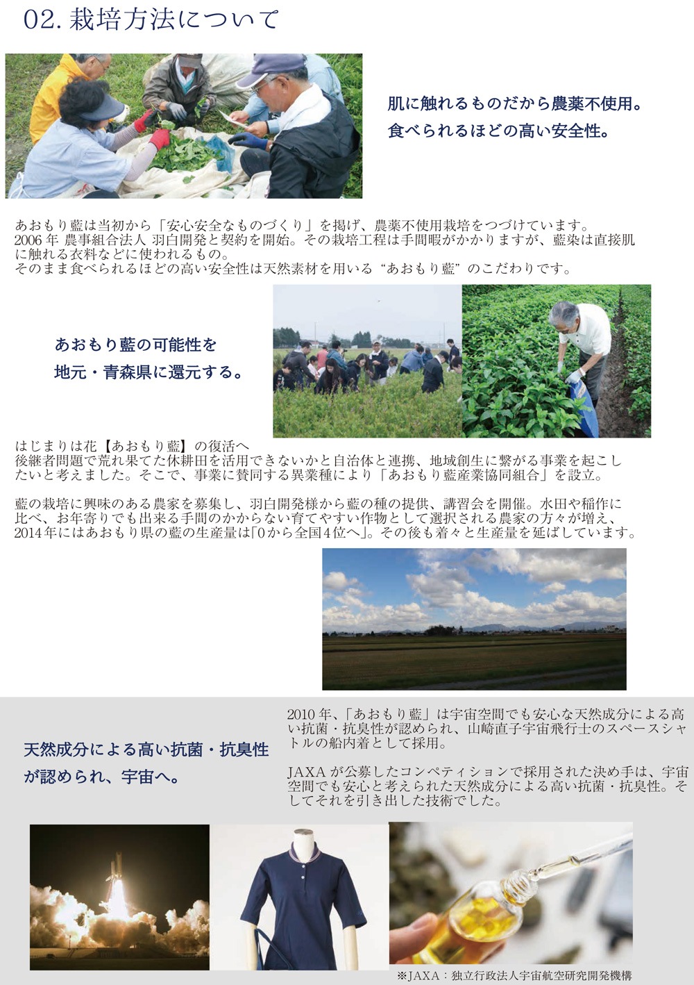  ŷͳʬ100  ý ݥץ졼 80ml 12 ۹ ̵ ޥ ե륨 륹 ȥԡ 