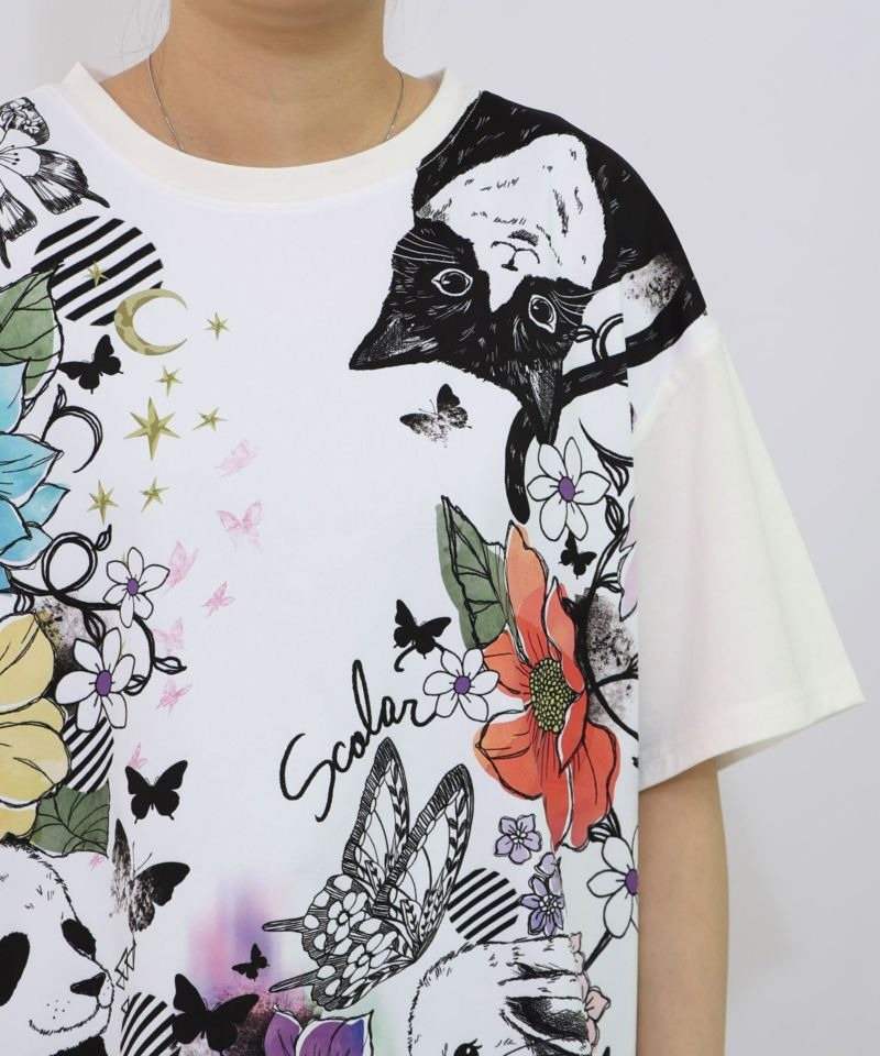 イズスカラー　is scolar 552225：ロゴ花蝶柄 スリット入りTシャツ 552225：ロゴ花蝶柄 スリット入りTシャツの通販-ScoLar