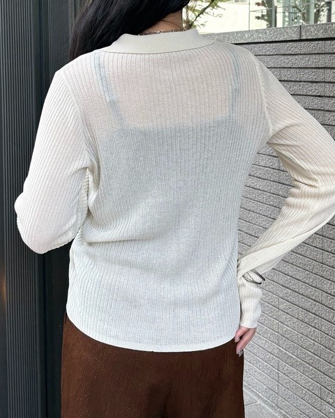 Aimeine エメイン　シアーライン　ポロ　ニット　ブラウン　現行 シアーラインニットセット｜PETAL ONLINE（ペタルオンライン）