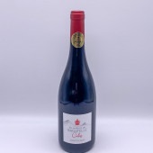 ����ƥ������ɡ��Х��ƥ�/����ݥ̡���ݥ���