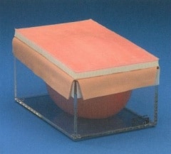 ��ʢ˥��ȥ졼�ʡ��ʥץ��ե��å���ʥ��