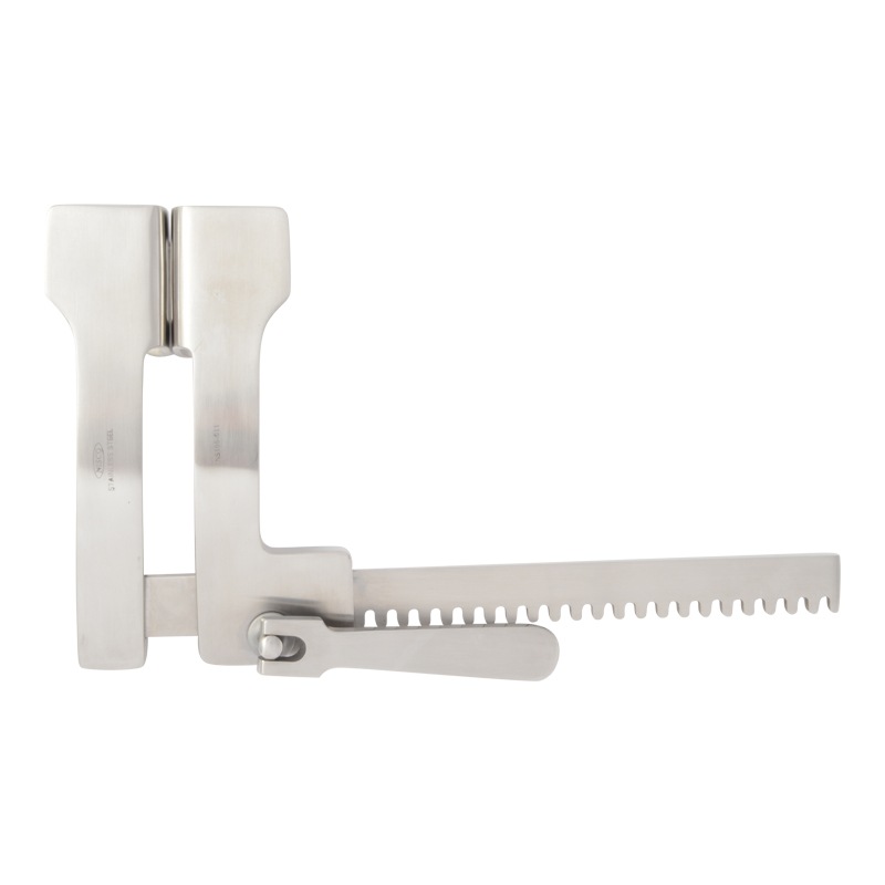 �ե��Υ����åȷ�������ʽ�������λ���γ��ݤˡ�